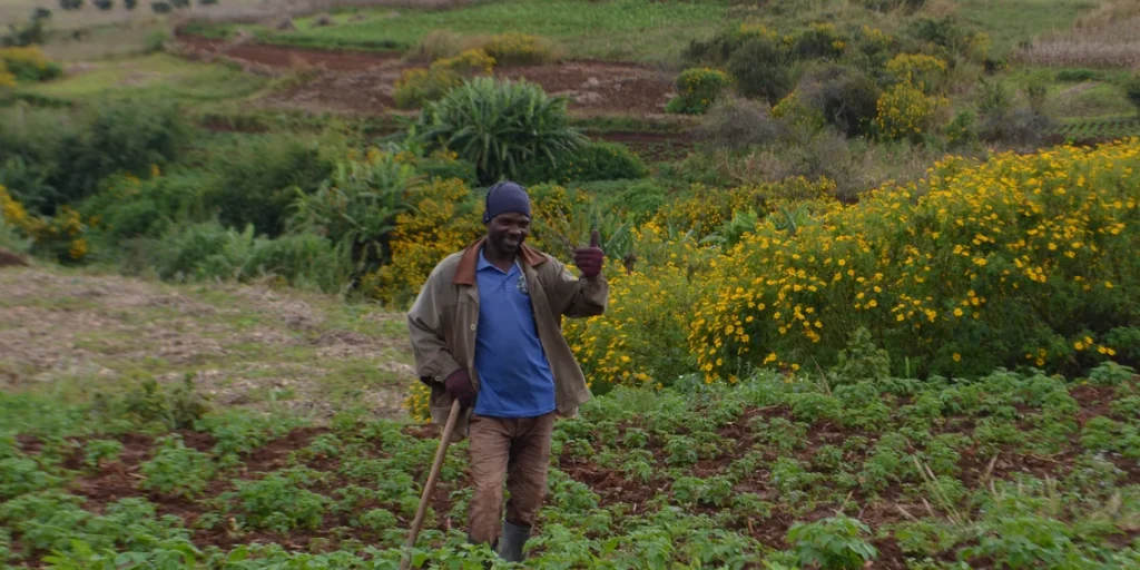 Sustainable irrigation and income security despite the climate crisis – The New Apostolic Church Relief Organization (NACRO) – Zambia Malawi Zimbabwe