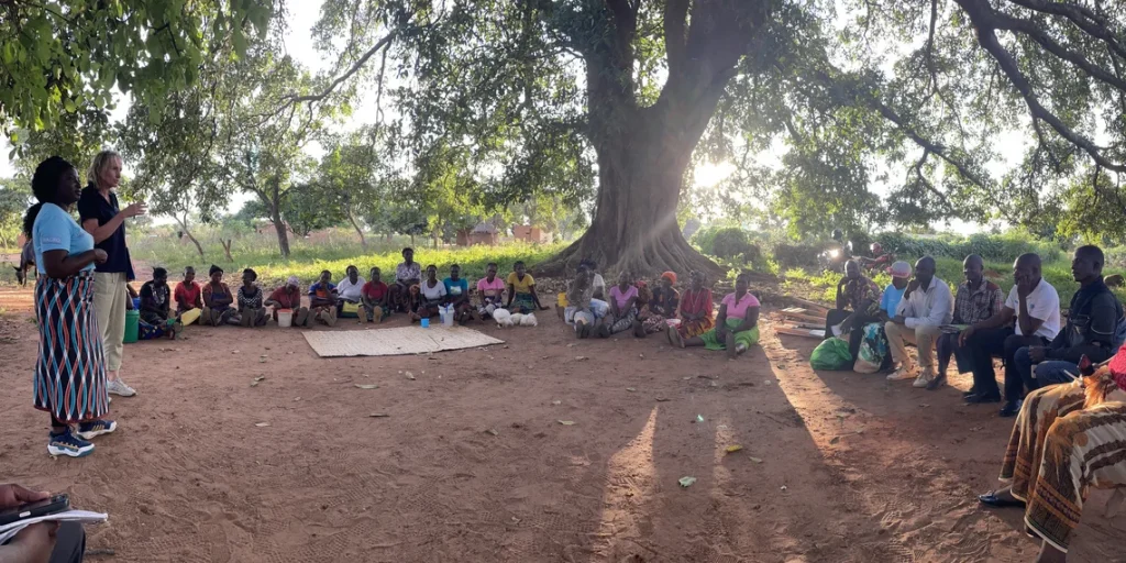 Stronger together through savings groups – The New Apostolic Church Relief Organization (NACRO) – Zambia Malawi Zimbabwe