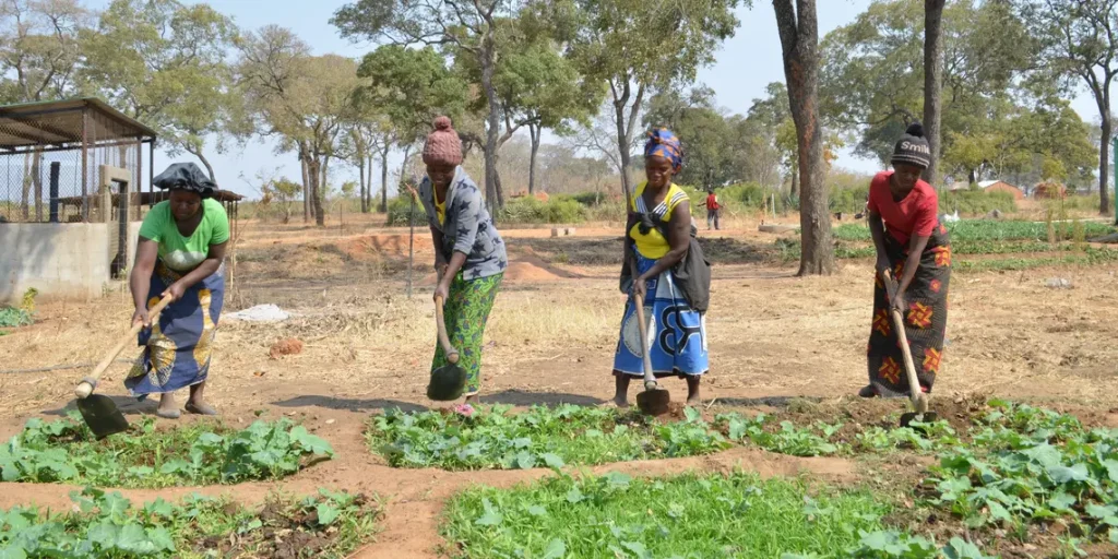 Biogas for sustainable development – The New Apostolic Church Relief Organization (NACRO) – Zambia Malawi Zimbabwe